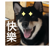 649229748