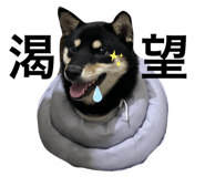 649229756