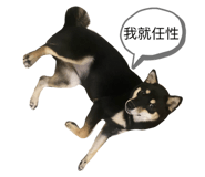 649229759