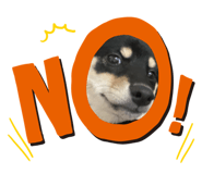 649229761