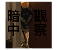 649229764
