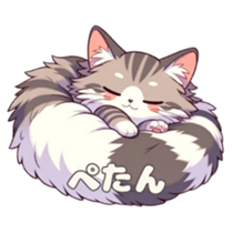 649235428