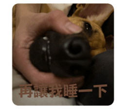 649242539