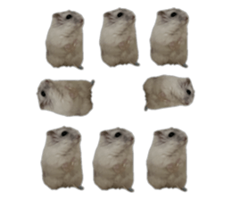 649250372