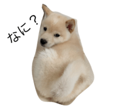 649356410