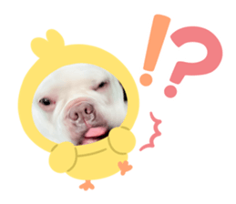 649378896