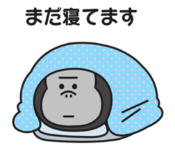 649395039