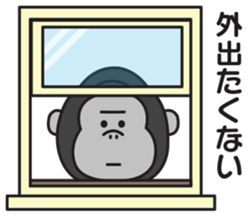 649395062