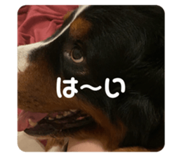 649404721