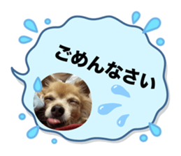 649445106