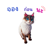 649449511