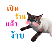 649449512