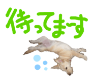 649495834