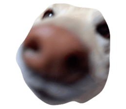 649496863