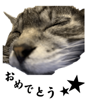 649521295
