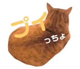 649581127
