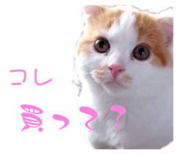 649581510