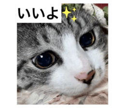 649581852