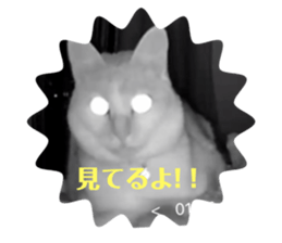 649618750