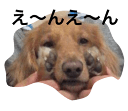 649642528