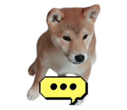 649643788