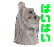 649644341