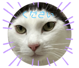 649647958