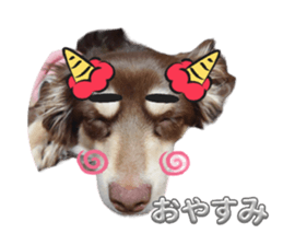 649653582