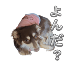 649653590