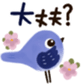 649655006