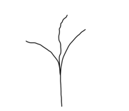 649673796