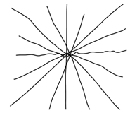 649673816