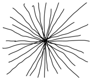 649673817