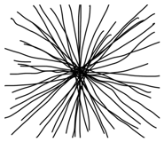649673818