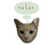 649698074
