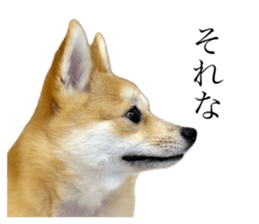 649784856