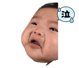 649863016
