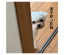 649884713