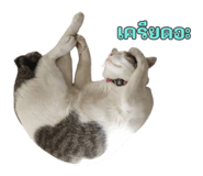 649891447