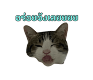 649891448