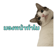 649891449