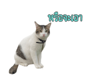 649891450