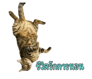 649891451