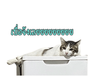 649891458