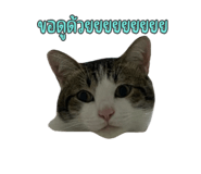 649891459