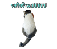 649891461