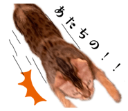 649901919