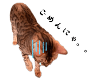 649901920
