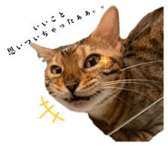 649901922