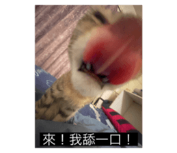 649919407